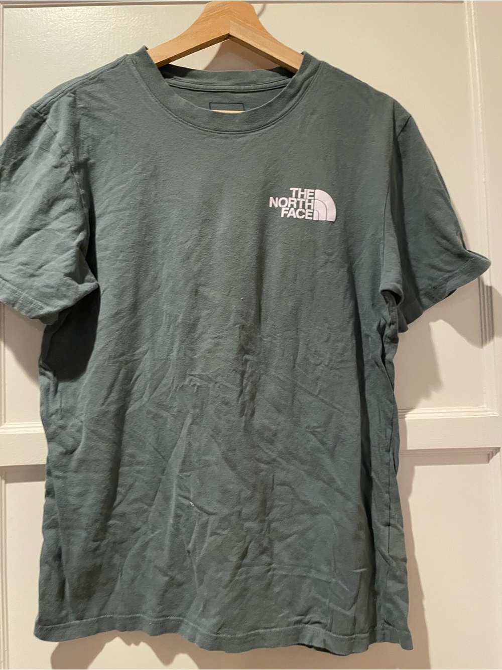 The North Face Men’s Short Sleeve Logo T-Shirt in Green Small
